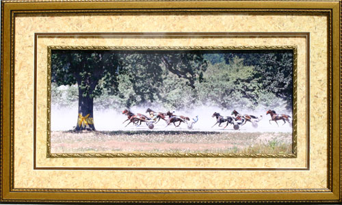 Sooke Fine Arts Show submission 